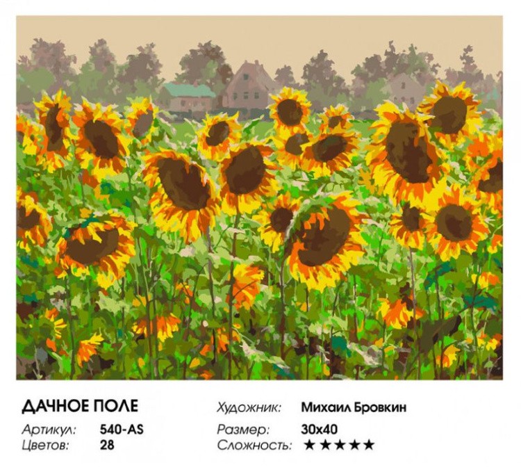 Картина по номерам «Дачное поле» — картинка 2