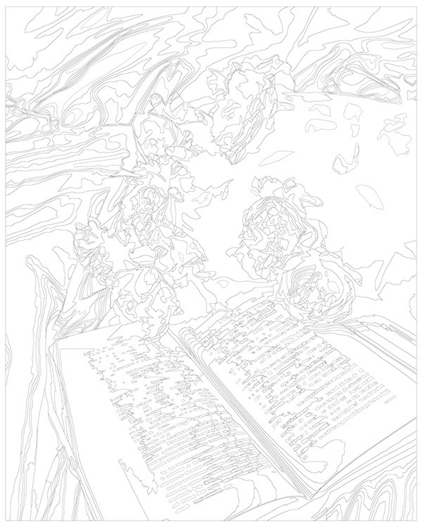 Картина по номерам «Цветы: Пионы и раскрытая книга» — картинка 3