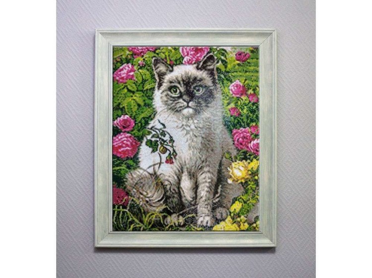 Алмазная вышивка «Кот и лето» — картинка 4