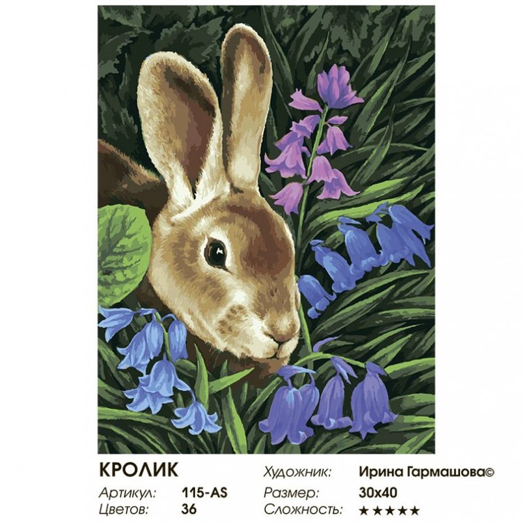Картина по номерам «Кролик» — картинка 2