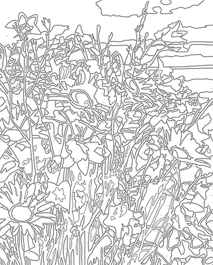 Картина по номерам «Полевые цветы» — картинка 2