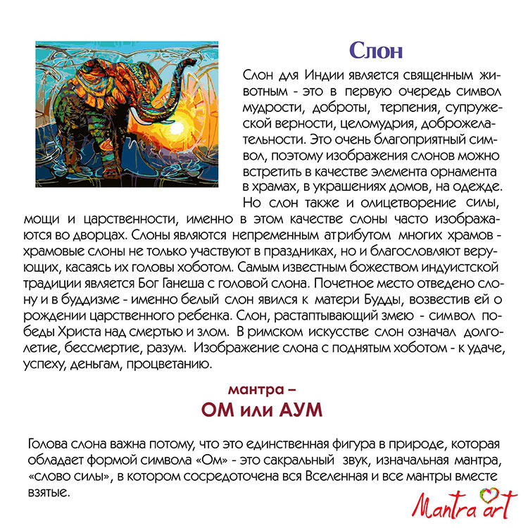 Картина по номерам «Слон» — картинка 4