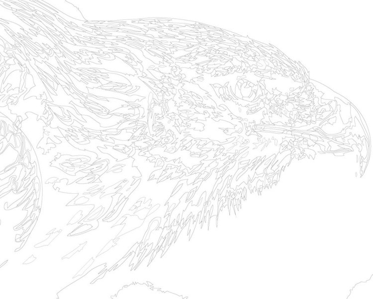 Картина по номерам «Коршун» — картинка 3