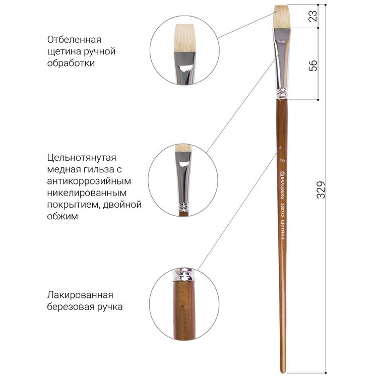 Кисть художественная профессиональная Art Classic, щетина, плоская, № 16, длинная ручка, Brauberg — картинка 4