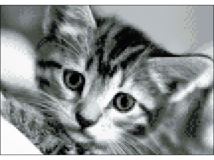 Алмазная вышивка «Черно-белый кот» — картинка 2