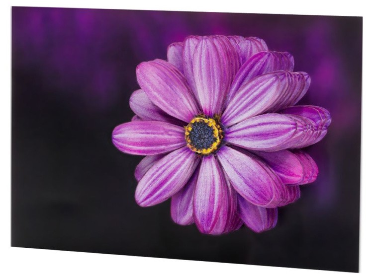 Папертоль «Гербера в фиолетовом» — картинка 2