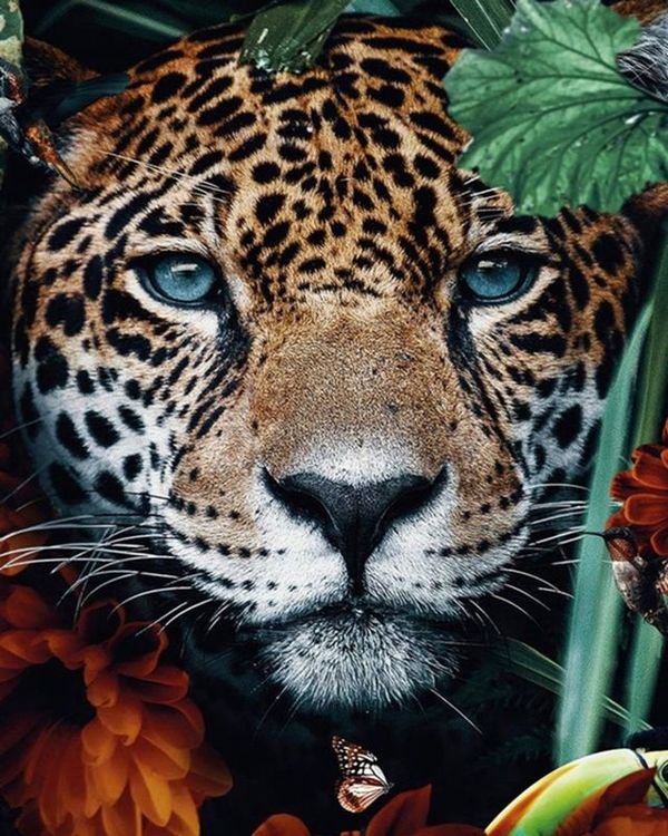Алмазная вышивка «Леопард» — картинка 2