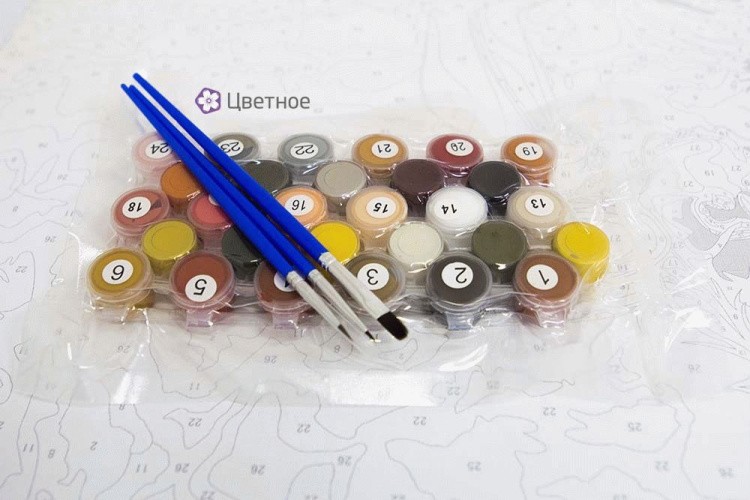 Картина по номерам «Барс» — картинка 4