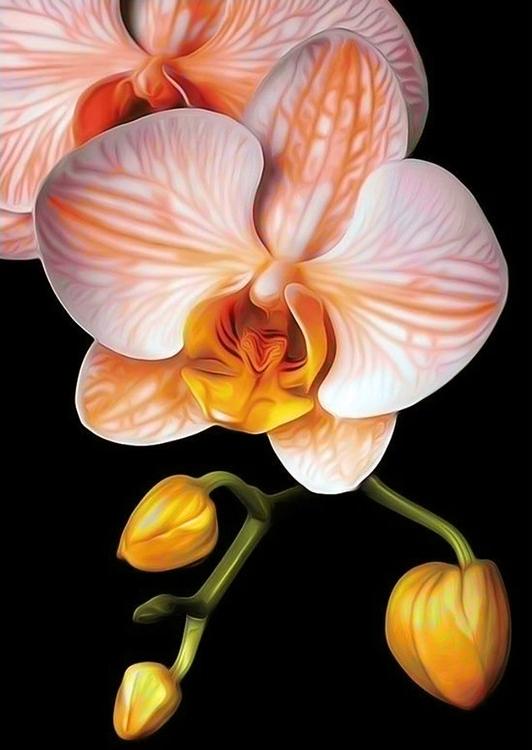 Алмазная вышивка «Изящная орхидея»