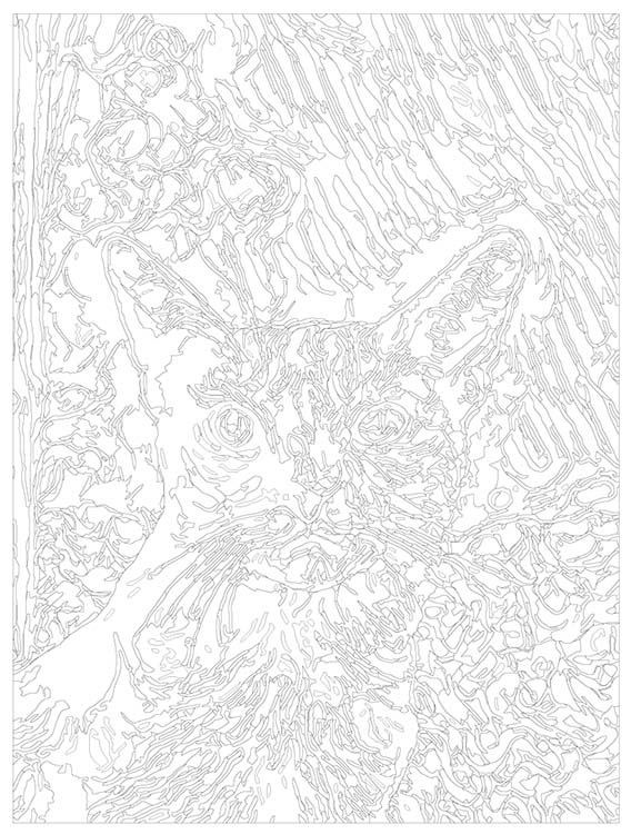 Картина по номерам «Суровый кот» — картинка 3