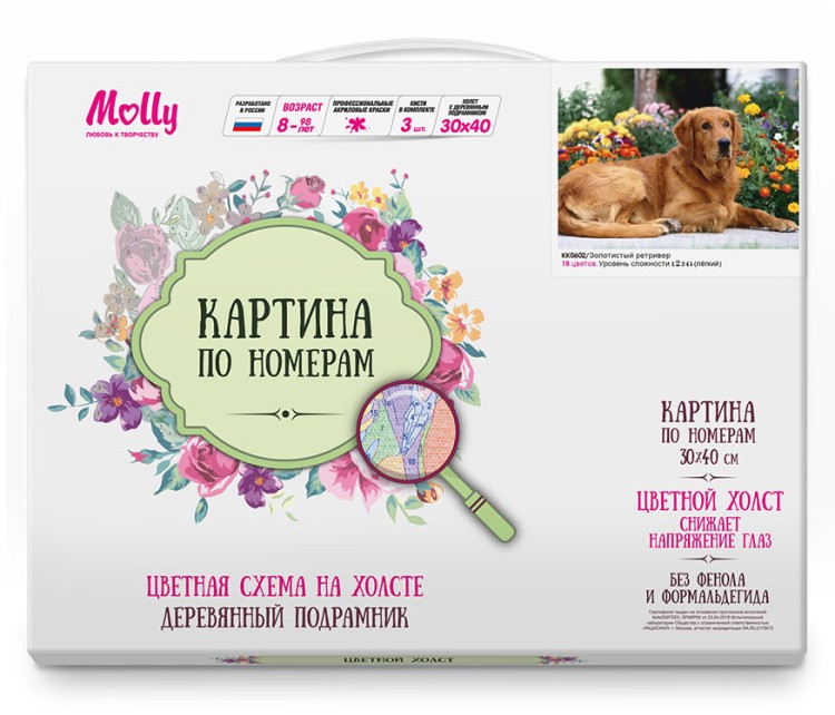 Картина по номерам «Золотистый ретривер» — картинка 2