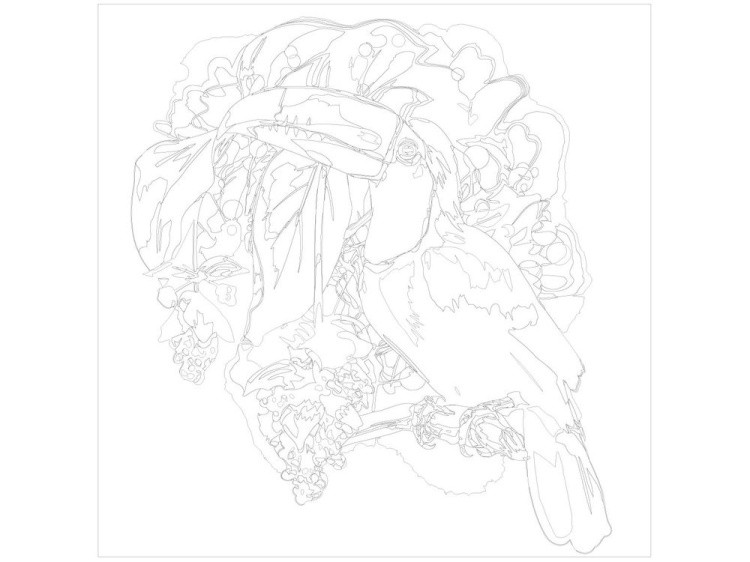 Картина по номерам «Тукан» — картинка 3