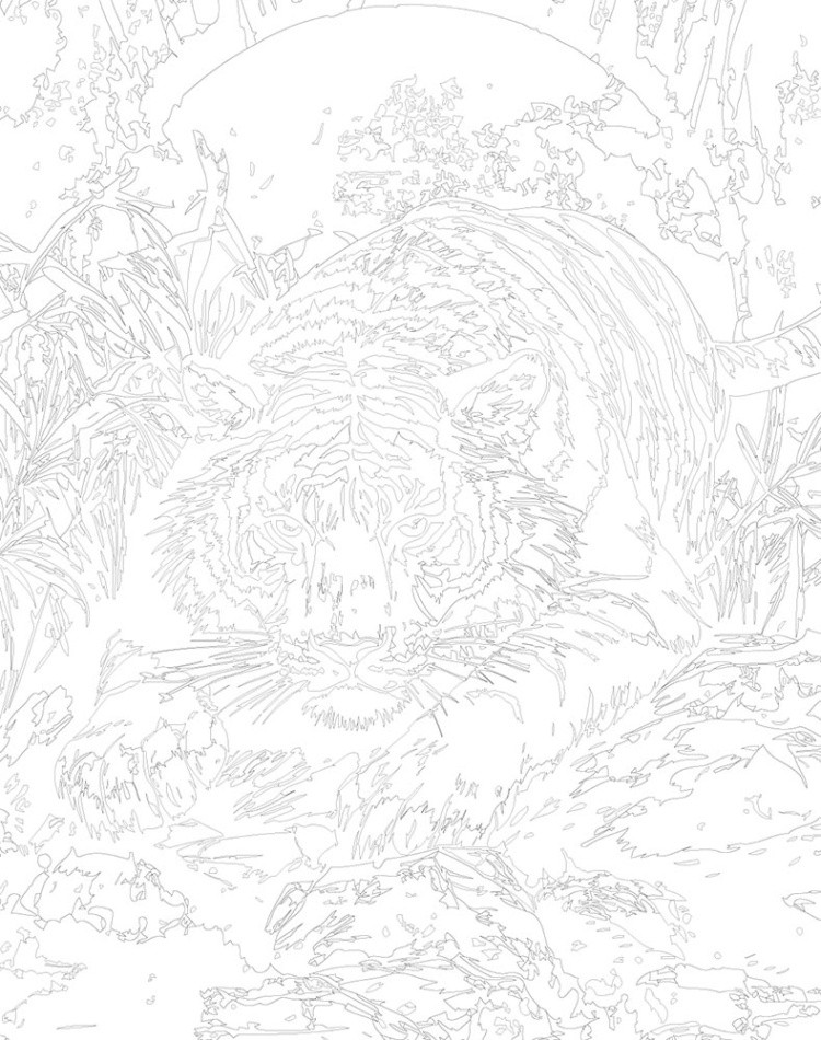 Картина по номерам «Животные: тигр у ручья на фоне солнца» — картинка 3