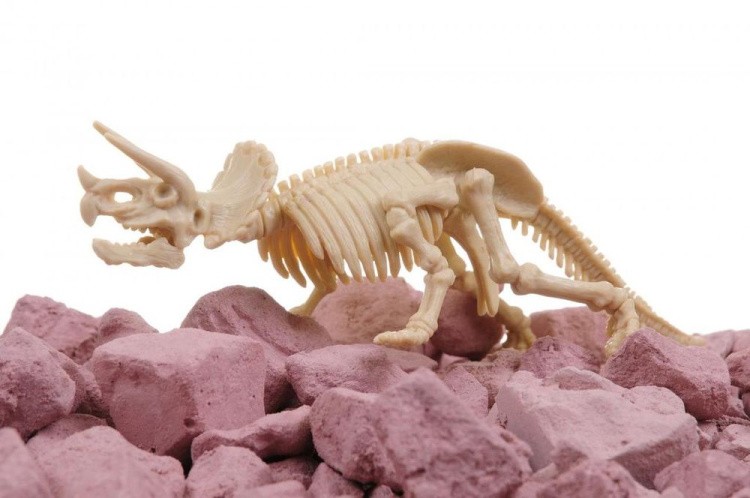 Набор юного археолога «Скелет Трицератопса» — картинка 3