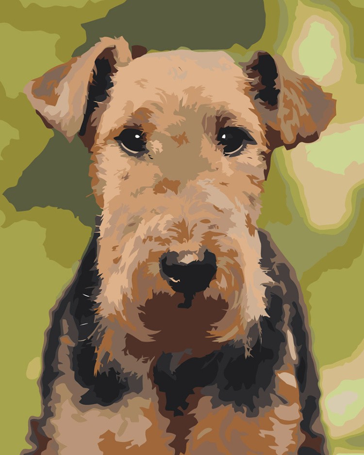 Картина по номерам Собака вельштерьер портрет