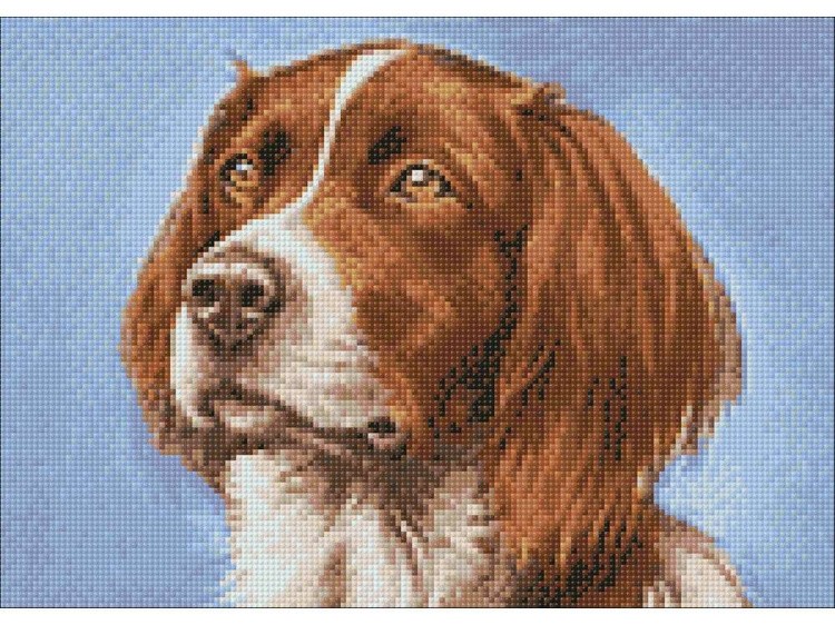 Алмазная вышивка «Сеттер» — картинка 3