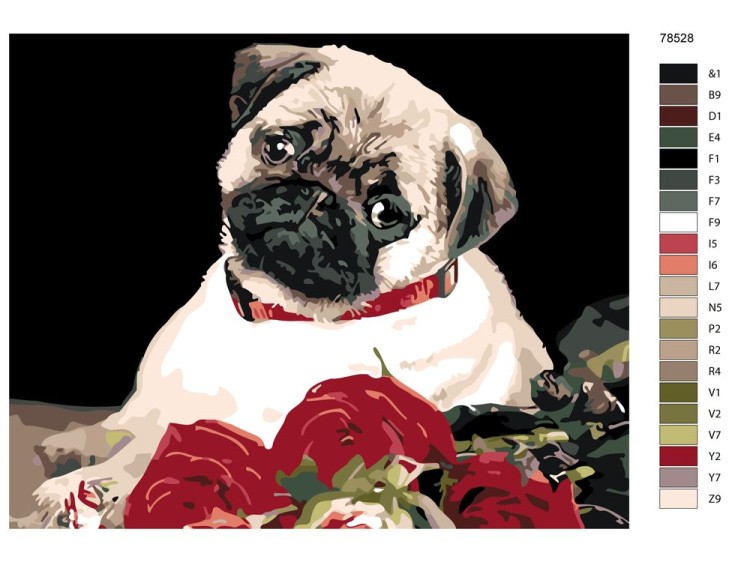 Картина по номерам «Мопс с букетом роз» — картинка 2