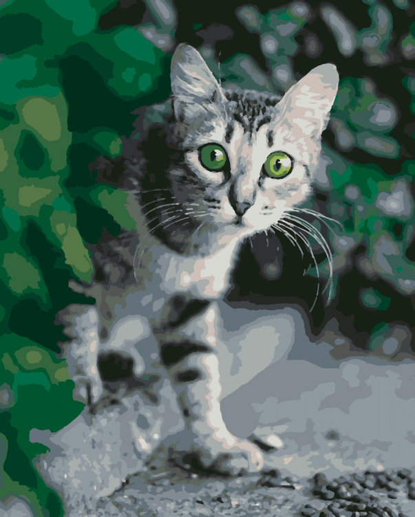 Картина по номерам «Удивленный кот»