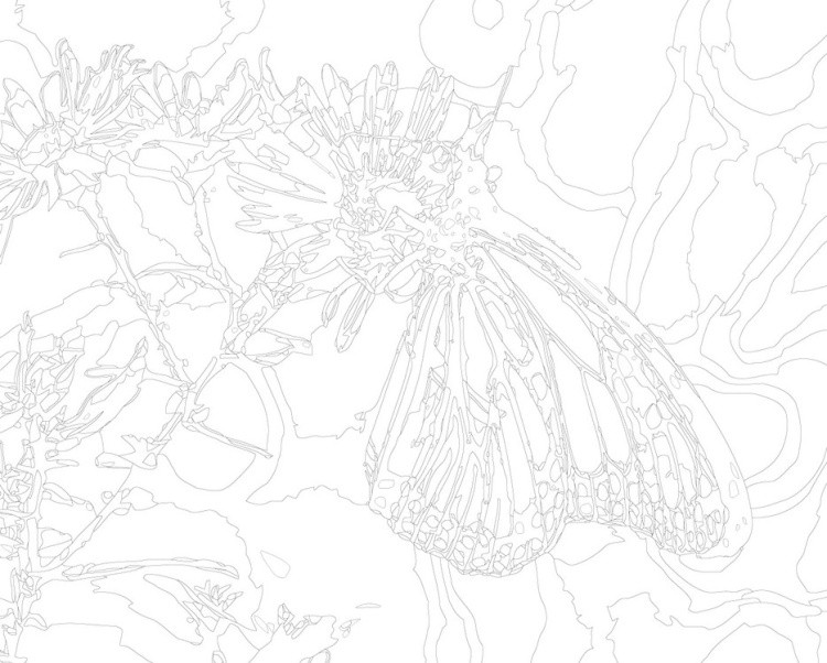 Картина по номерам «Бабочка на цветке» — картинка 3