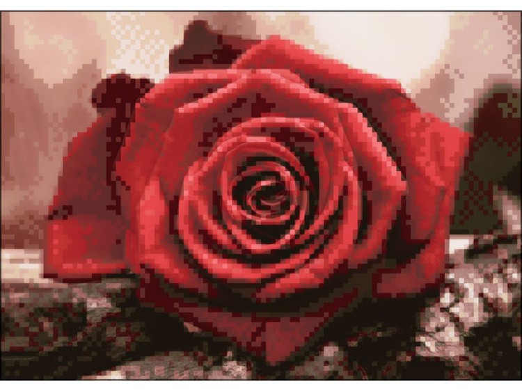 Алмазная вышивка «Красная роза» — картинка 2