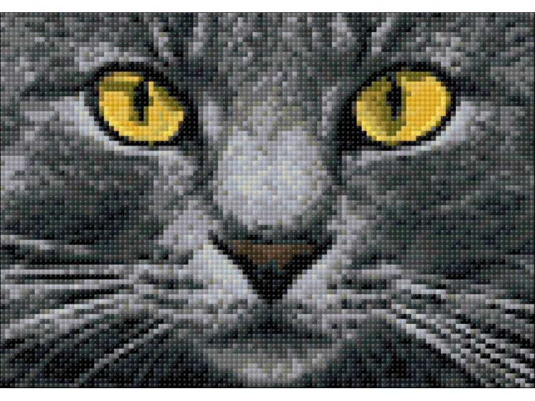 Алмазная вышивка «Жёлтые глаза» — картинка 2