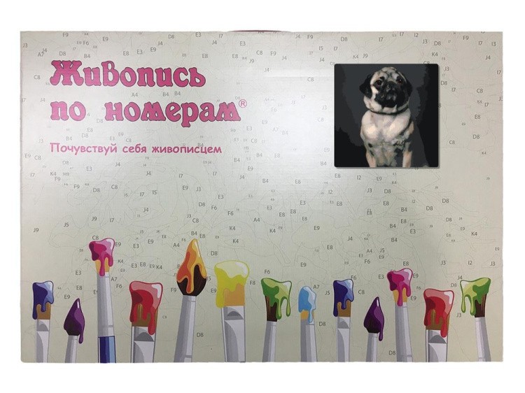 Картина по номерам «Портрет мопса» — картинка 5
