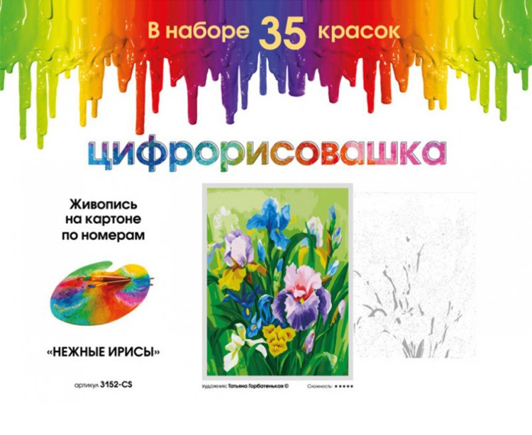 Картина по номерам «Нежные ирисы» — картинка 4