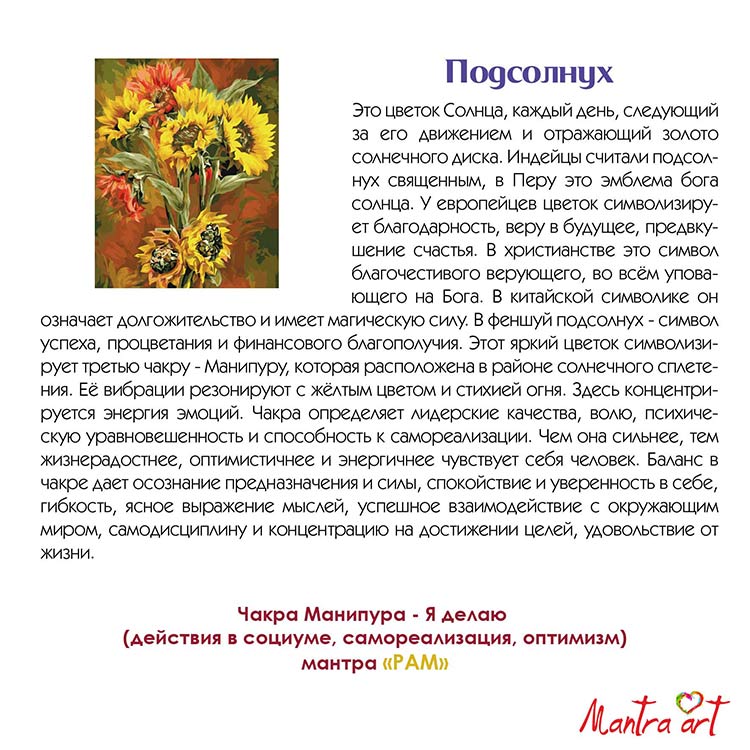 Картина по номерам «Подсолнух» — картинка 4