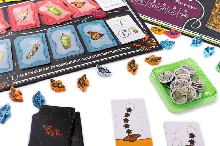 Игра настольная «Марипосас», Эврикус — картинка 14