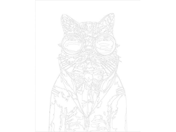 Картина по номерам «Кот Базилио» — картинка 3