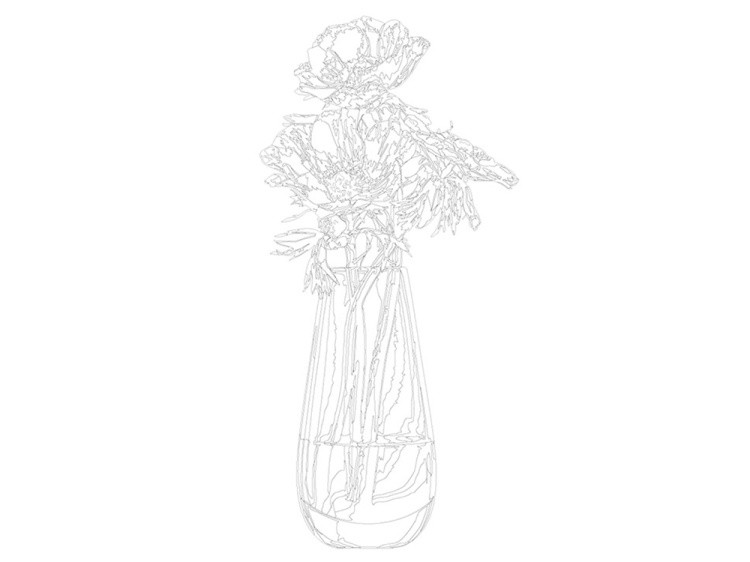 Картина по номерам «Гималайские маки» — картинка 3