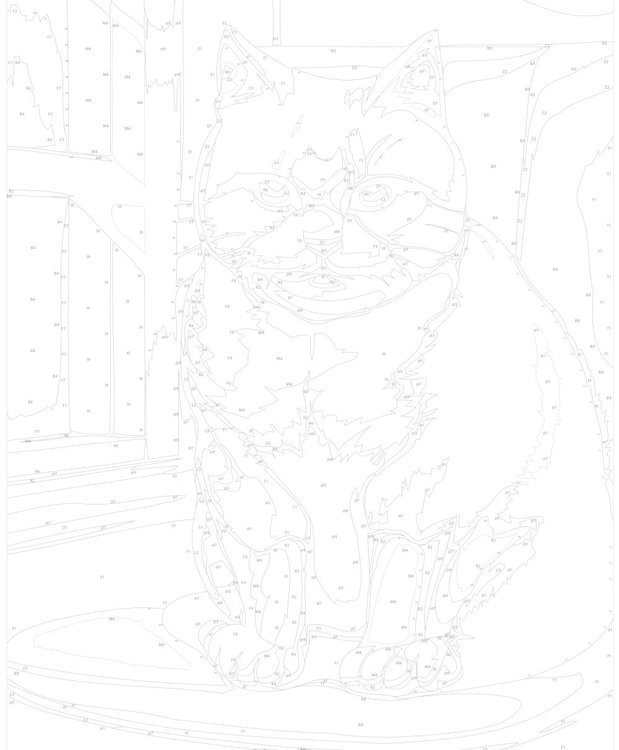 Картина по номерам «Толстый кот Томас» — картинка 3