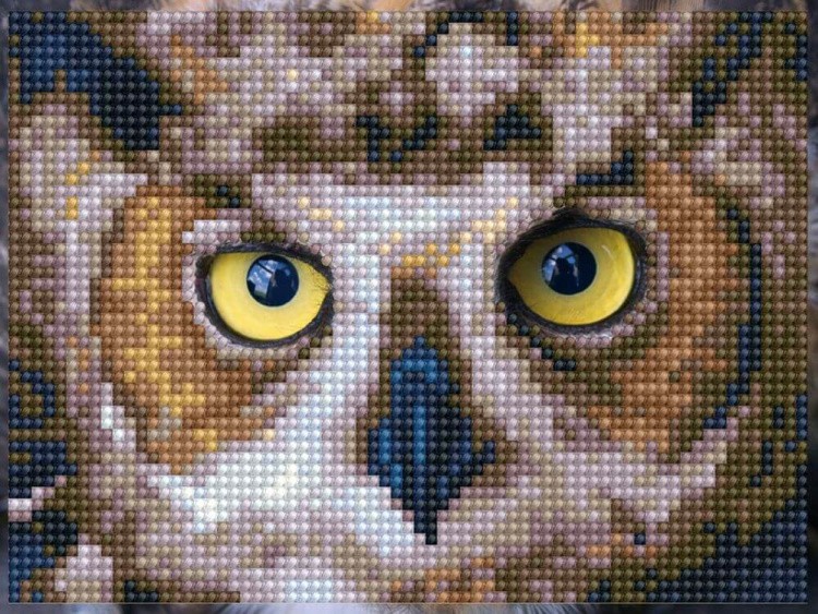 Алмазная вышивка «Филин» — картинка 2