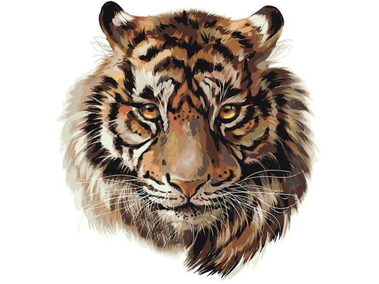 Картина по номерам «Голова тигра»