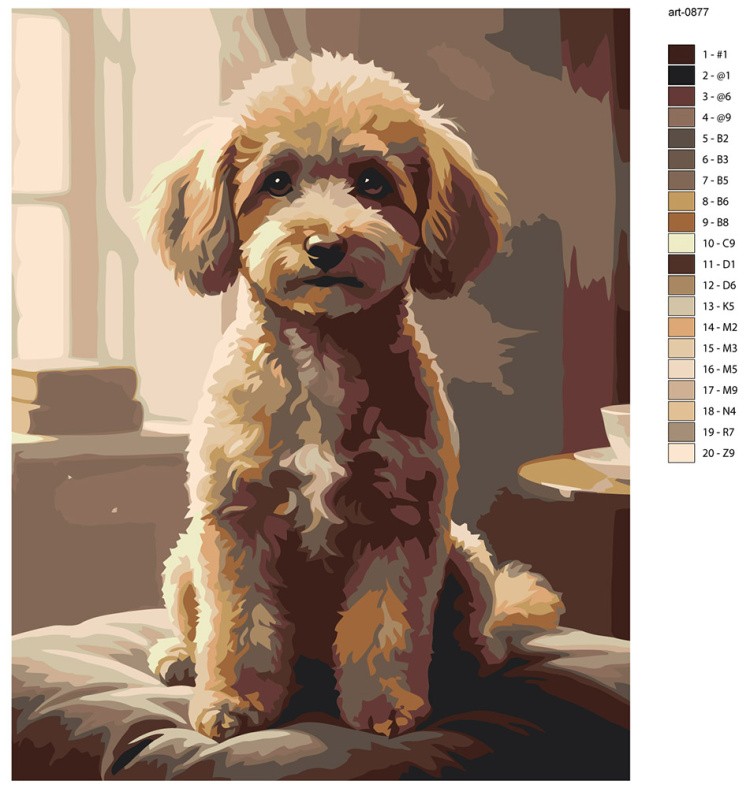 Картина по номерам Собака милый той пудель в комнате — картинка 2