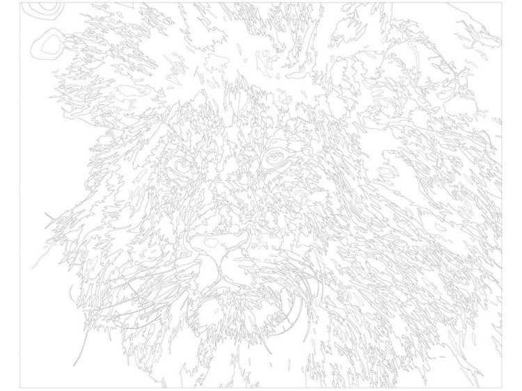 Картина по номерам «Лохматый лев» — картинка 3