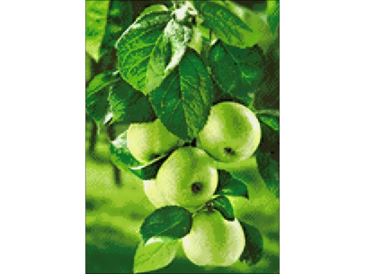 Алмазная вышивка «Зеленые яблоки» — картинка 2