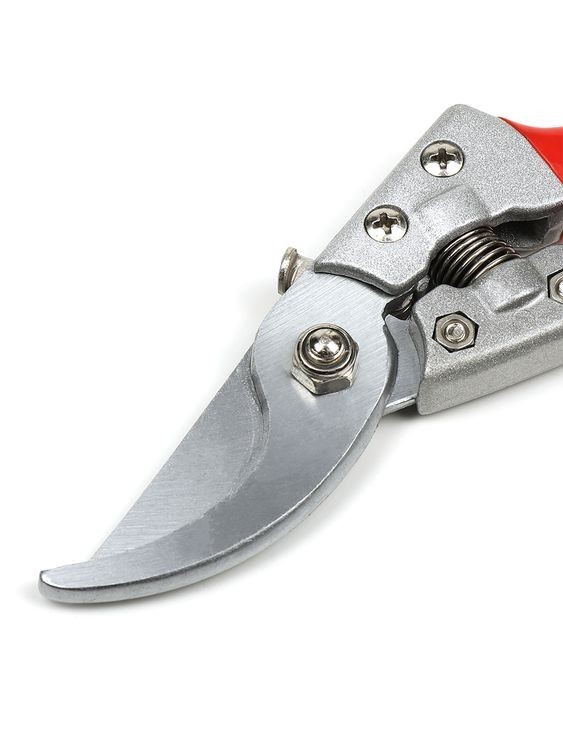 Секатор Maxwell изогнутое лезвие, 60/225 мм, ручки красный металл — картинка 8