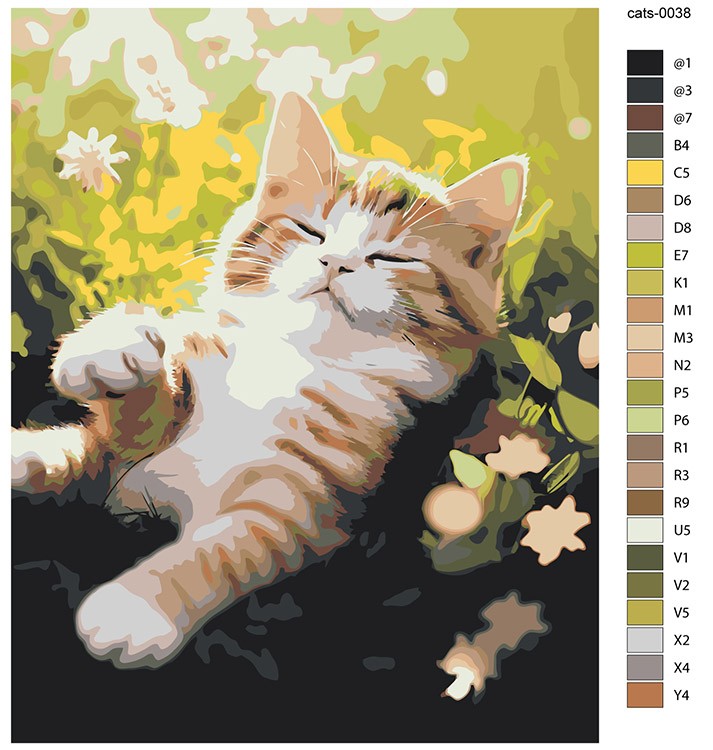 Картина по номерам «Котенок спит в траве на полянке» — картинка 2