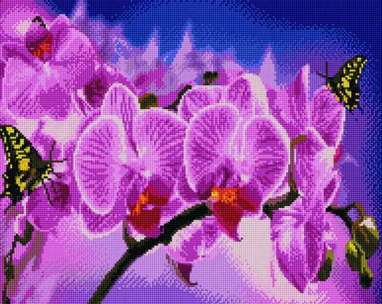 Алмазная вышивка «Цветок орхидеи»