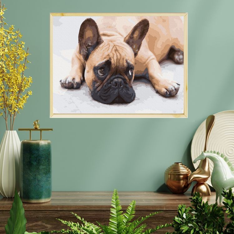 Картина по номерам «Французский бульдог» — картинка 3