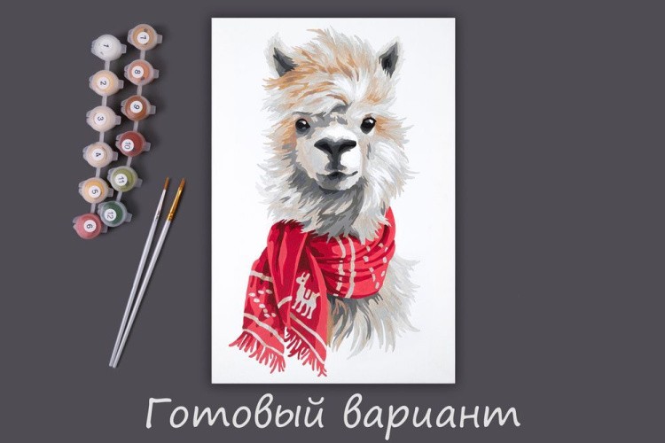 Картина по номерам «Пушистый альпака» — картинка 2