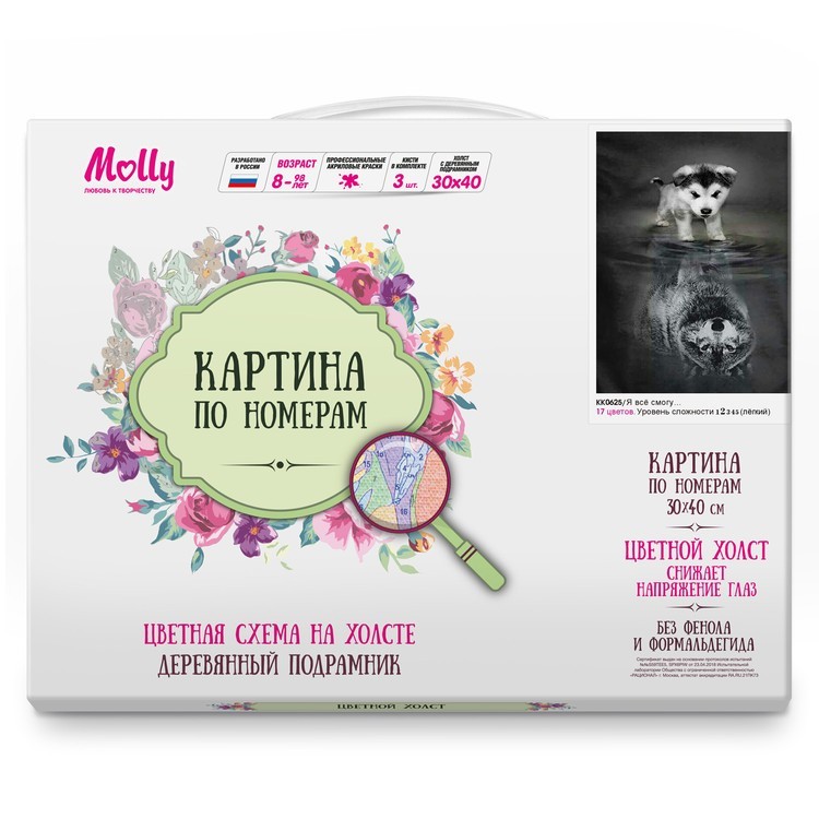 Картина по номерам «Я все смогу...» — картинка 2