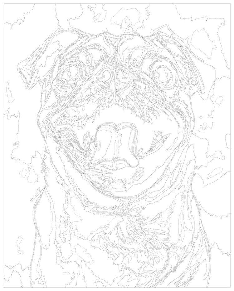 Картина по номерам Собака мопс крупным планом арт — картинка 3