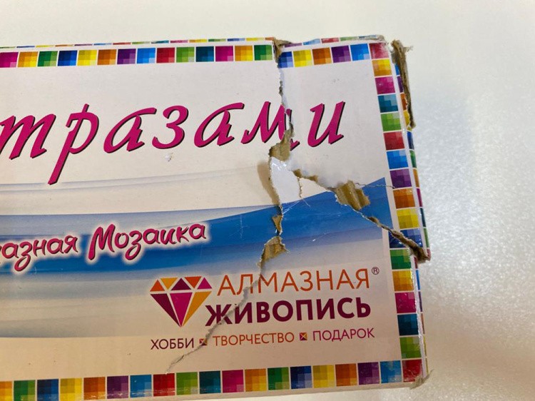 УЦЕНКА. Алмазная вышивка «Чихуахуа с бантиком» (порвана коробка) — картинка 3