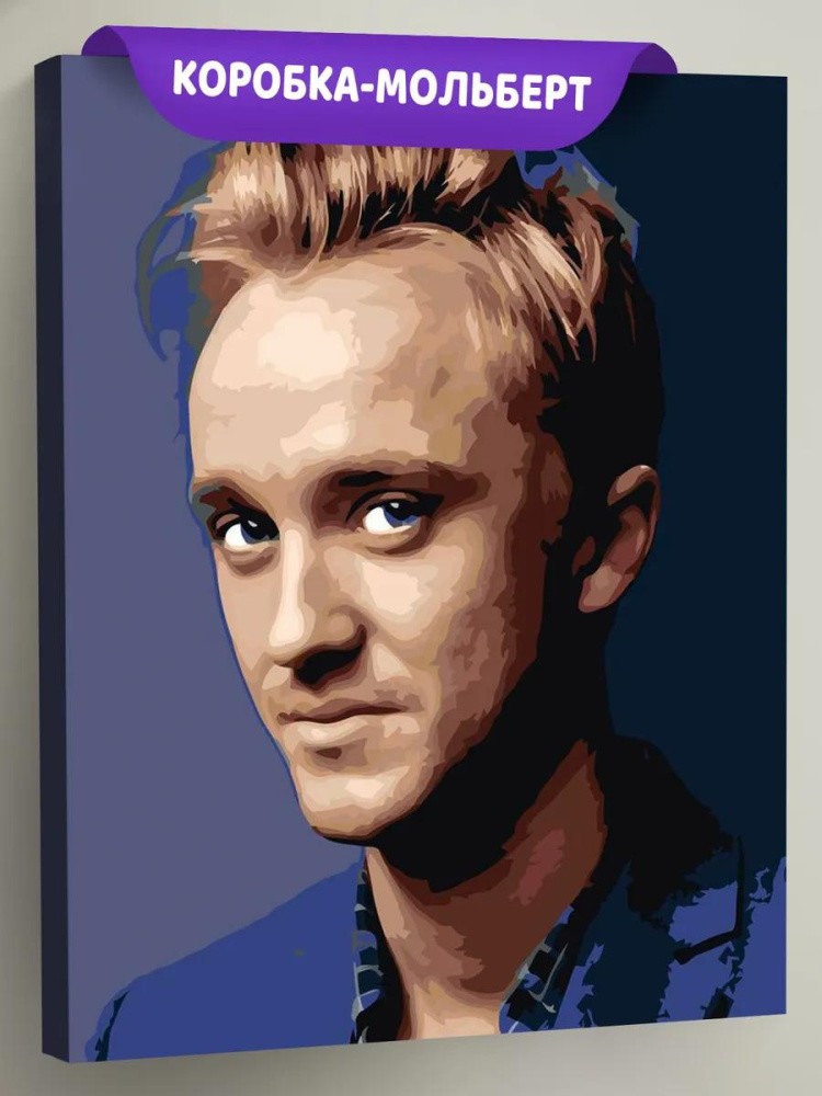 Картина по номерам «Гарри Поттер: Драко Малфой - актер Том Фелтон 3»