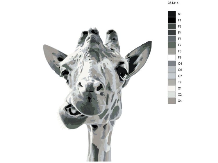 Картина по номерам «Чёрно-белый жираф» — картинка 2