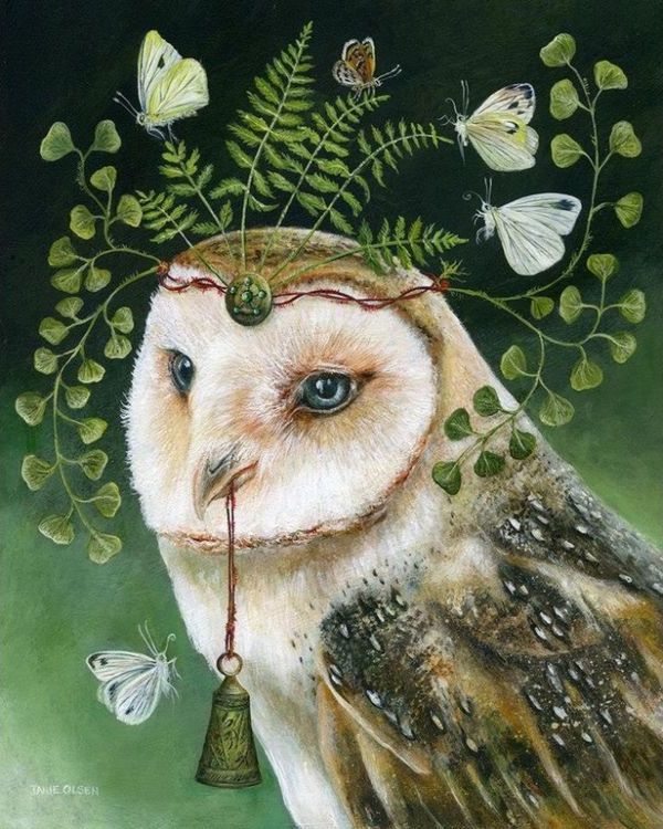 Картина по номерам «Красивая сова» — картинка 2