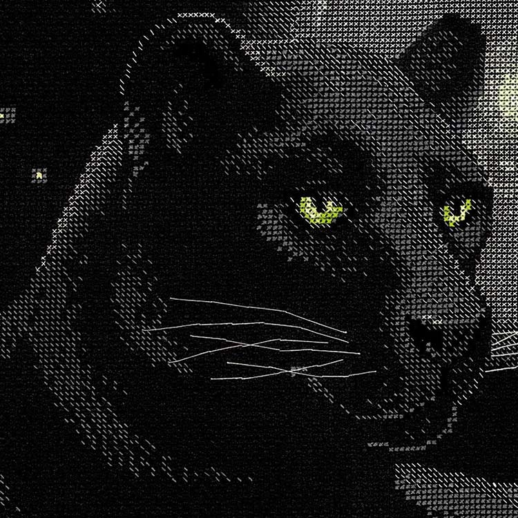 Набор для вышивания «Полнолуние» — картинка 3