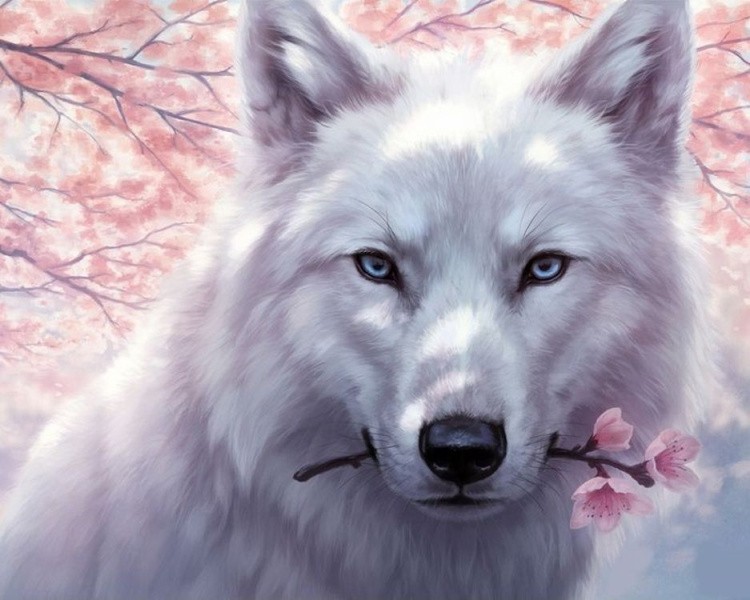 Картина по номерам «Белый волк»
